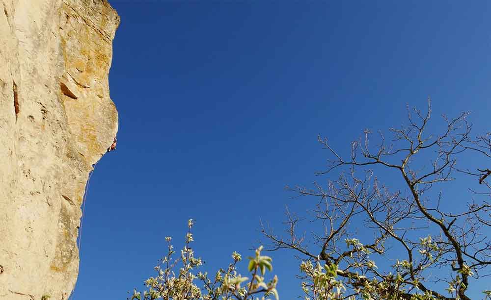 tete de gondole 8b+ au Boffi