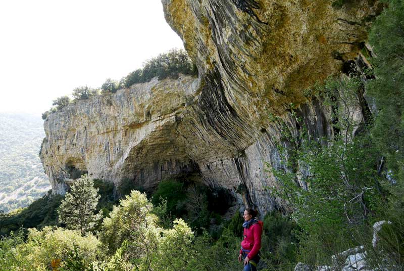 secteur Baleine a st legers du ventoux