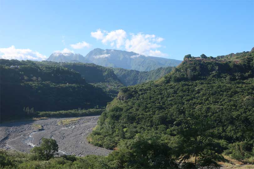 vue des falaises de ouaki aloes - la reunion